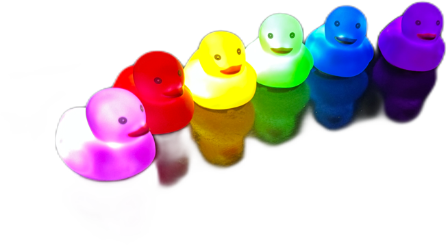 Duck Syndicate Midnight and the wicked philadelphia nightclub, what the duck?, the duck dj